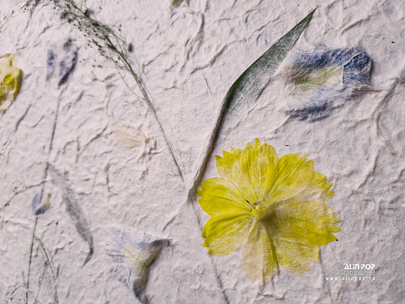 ForSHARE_0017